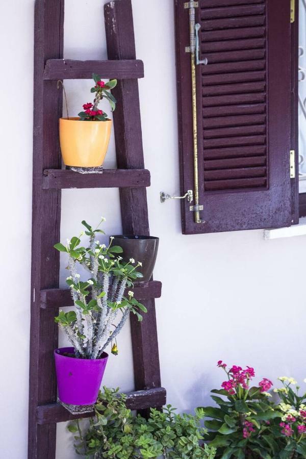 My Sweet Corner House Villa Palaiochora Ngoại thất bức ảnh